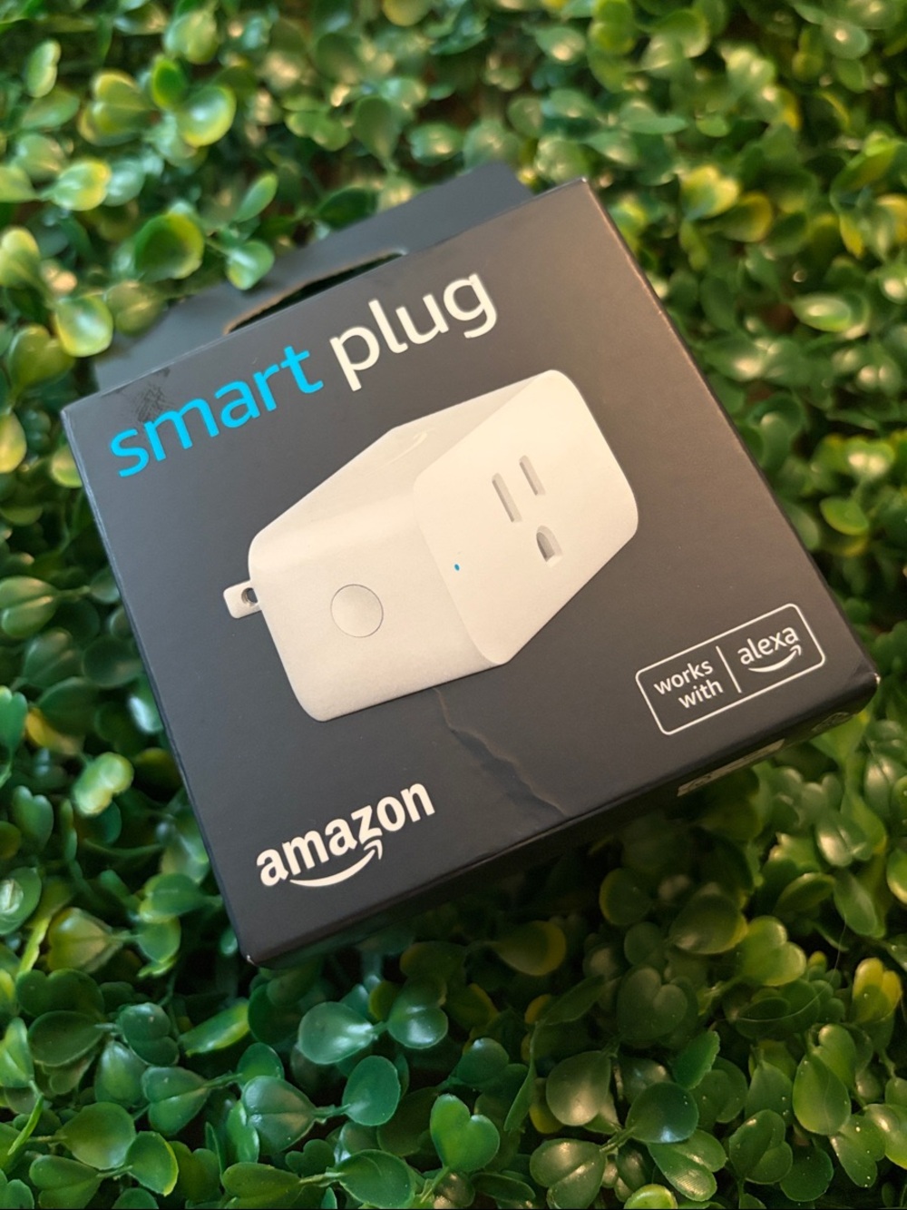 Amazon Smart Plug